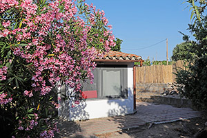 Click to enlarge!