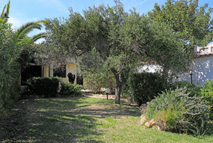 Click to enlarge!