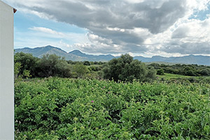 Click to enlarge!