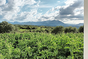 Click to enlarge!