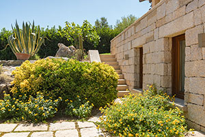 Click to enlarge!