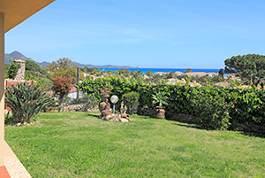 Click to enlarge!