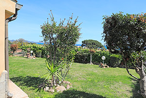 Click to enlarge!