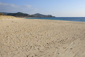 Click to enlarge!