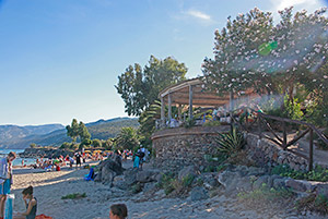 Click to enlarge!